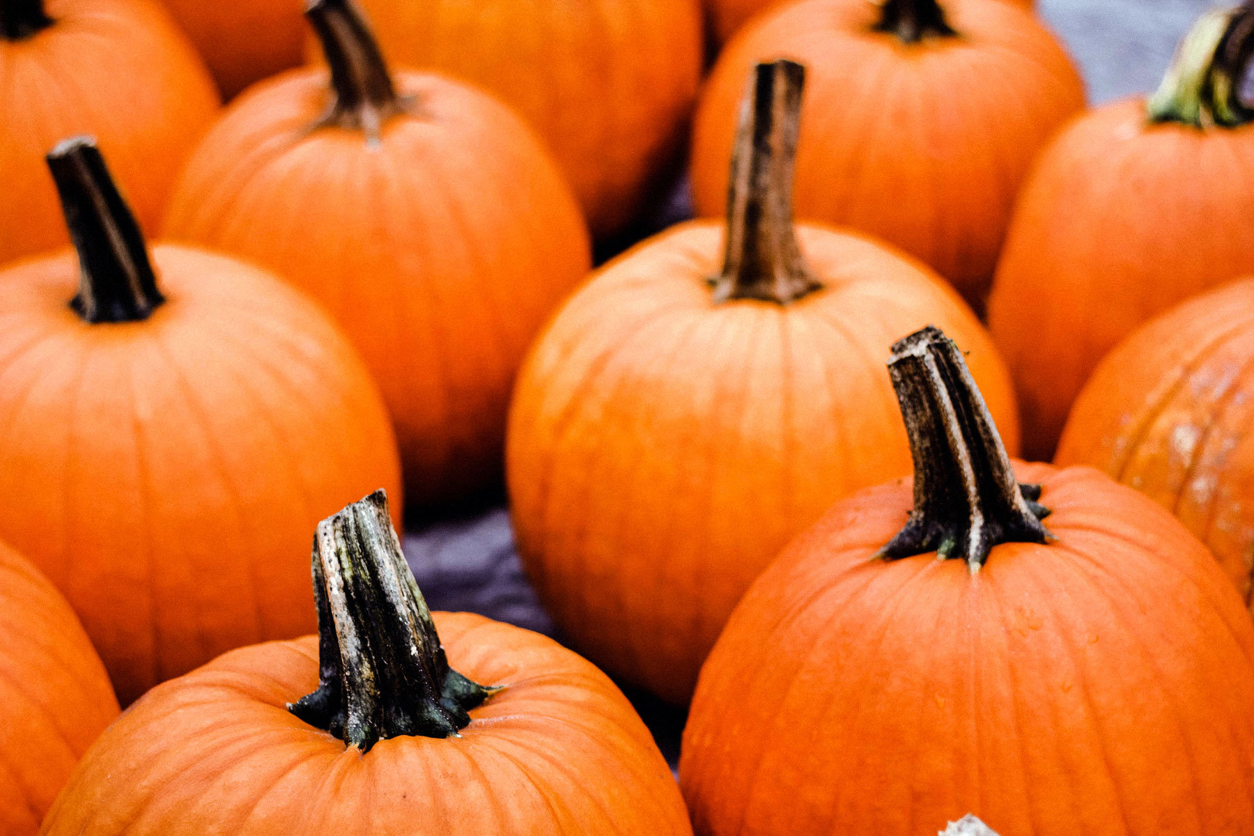 Edited Pumpkins